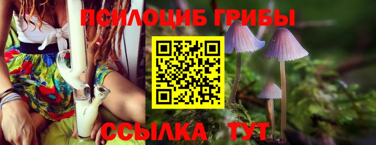 Галлюциногенные грибы Cubensis Ухта